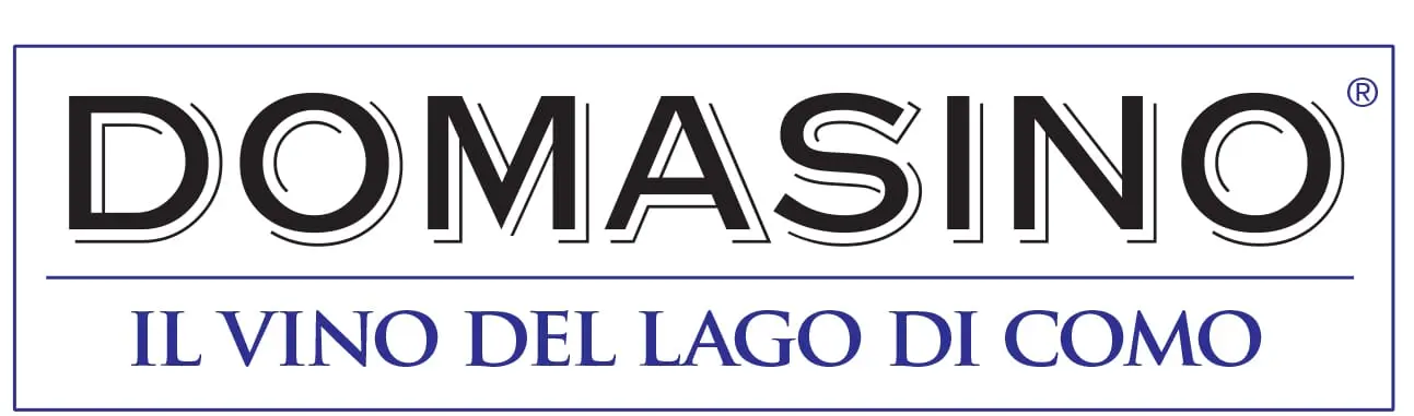 Domasino — Il vino del Lago di Como